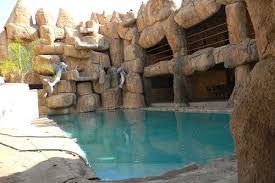 Your family will get to explore and discover together without stressing out over the price tag. African Cave Lodge In Hammanskraal Book On Hotels Com