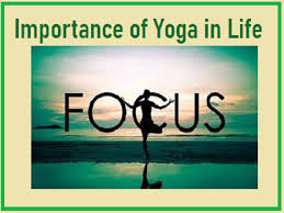 For many, yoga and meditation is an escape from the pressures and demands of everyday life. International Yoga Day 2020 Importance Of Yoga In Life