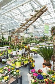 Ob es um die planung ihrer gartenanlage, um. Dehner Osterreich Neueroffnung Eines Gartencenters In Neunkirchen Gawina Dehner Neueroffnung Dehner Neunkirchen Dehner Osterreich