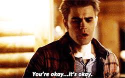 Guilty Pleasure — Fallout {SE Pt. 5}