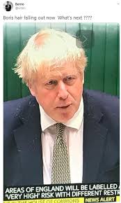 If there's one thing that's united the country during the pandemic it's having a good chuckle at boris johnson hair memes. Viewers Comment On Boris Johnson S Hair Loss During Announcement The State