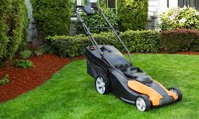$20.00 coupon applied at checkout save $20.00 with coupon. 12 Best Battery Powered Lawn Mowers 2021 Bestofmachinery