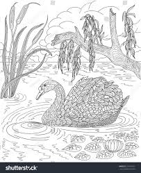Tattoo design coloring pages at getdrawings free download. Stock Vector Hand Drawn Bird Swan Swimming In A Lake With Reeds And Water Lilies Coloring Page 373914 Coloring Pages Animal Coloring Pages Horse Coloring Pages