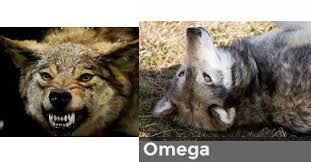 Are You An Alpha Beta Or Omega Wolf Omega Wolf Alpha Wolf Omega