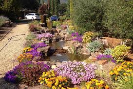 Southern living flowering trees in southern california antelope valley california poppy reserve 11 beautiful southern california flower fields you must visit this. What Flowers Bloom All Year Round In California