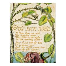 William Blake The Sick Rose From Songs Of Innoc Postcard Zazzle Com William Blake Songs Of Innocence William Blake Paintings