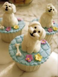 Cupcake Way Too Cute Cupcake Cupcake Cakes Fun Cupcakes Cupcakes