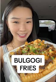 Bulgogi Fries and Chicken Katsu: Delicious Delights