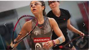 We did not find results for: How To Play Racquetball With 3 Players Arxiusarquitectura