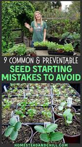 9 Common Seed Starting Mistakes To Avoid Homestead And Chill In 2020 Seed Starting Growing Vegetables Garden Seeds