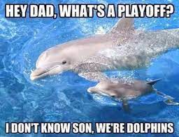Miami Dolphins Meme Waterfront Properties Blog Baby Dolphins Dolphins Bottlenose Dolphin