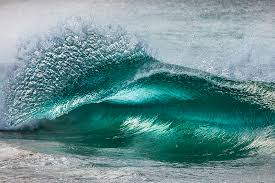 A man has died following a suspected shark attack at tuncurry on the nsw mid north coast. Shane Chalker Photography Flare Tuncurry Beach