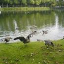 Image result for dali48 wikipedia