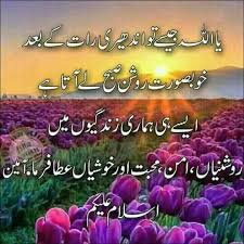 The Best And Most Beautiful Things In The World Cannot Be Seen Or Even Touched Meaning In Hindi Aameen Summa Aameen Good Morning Roses Morning Dua Beautiful Dua