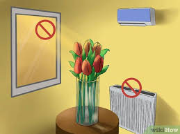 I want them to stay fresh and beautiful as long as possible. How To Care For Fresh Cut Tulips 12 Steps With Pictures