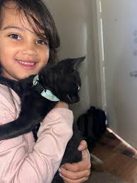 Caring for kittens with eye issues