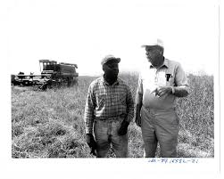 Southern Agriculture Oral History Project Records