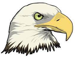 Maybe you would like to learn more about one of these? Krchhoff Distributing Company Logo Eagle Cartoon Eagle Painting Eagle Drawing