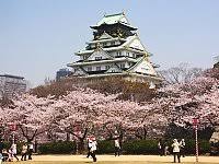 Osaka castle park was my welcome intro to osaka and my first favorite sakura experience and my first understanding of hanami. Best Cherry Blossom Spots In Osaka Osaka Hanami Spots