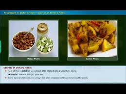 Unit 1 Food Components Telugu State Board Ap Ts Class Vii Youtube