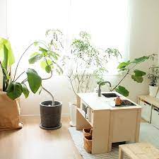 風水は玄関から始めよう 風水的玄関インテリアで気をつけるポイントまとめ folk インテリア インテリア 収納 風水