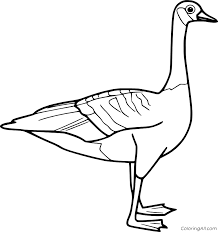 Click the geese flying coloring pages to view printable version or color it online (compatible with ipad and android tablets). Goose Coloring Pages Coloringall