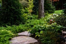 Easy landscape ideas front house attractive. Low Maintenance Plants And Other Ideas For Easy Landscaping Terrapin Landscapes