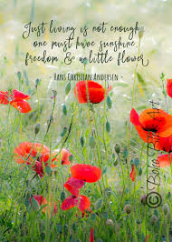 Just Living Is Not Enough One Must Have Sunshine Freedom And A Little Flower Hans Christian Andersen Quote Just Living Isn T Enough Etsy Hans Christian Anderson Quotes Hans Christian Poppy Art