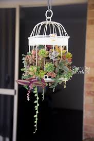 Hanging Bird Cage Decor Ideas If You Long For A More Beautiful Backyard Space But Lack The Funds To Hire A Landscape Designer Check Ou Hanging Succulents Bird Cage Decor Succulents Garden