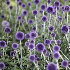The secret to keeping butterflies coming back is to provide some shelter, some water and a spot for sunning — rocks are good. 29 Flowers That Attract Butterflies Garden Plants That Attract Pollinators