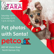 The following dogs are all available for adoption through the missouri department of corrections' puppies for parole program and the partnering animal shelters. T A R A Tarakcpetrescue Twitter