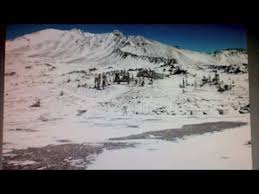 Image result for intuitivefred888