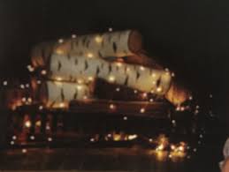 Birch Logs For Fireplace Birch Logs With Fairy Lights In Fireplace Lighting Bugs Rustic Diy Projects Log Decor