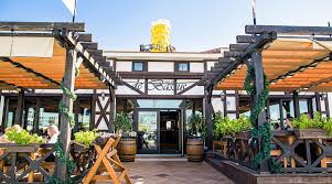 Image result for Baissea