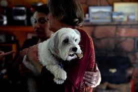 Baby Boomers Could Change Alzheimer S As It Changes Them The Denver Post