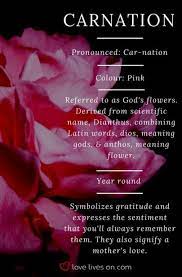 Super Flowers Arrangements Pink Colour 36 Ideas Flower Meanings Carnations Carnation Flower Meaning