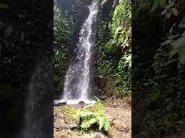 We did not find results for: Air Terjun Tirto Gumarang Cemorosewu Desa Ngancar Magetan Youtube