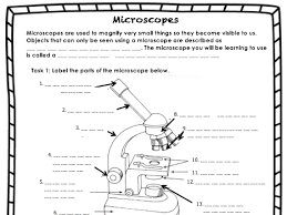 We did not find results for: Parts Of A Microscope Worksheet Teaching Resources
