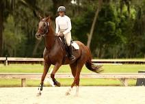 November USEA Horse Trials