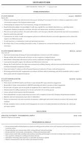 Auditors are accounting professionals who help ensure that organisations run effectively, as well as protecting against fraud and waste. It Audit Senior Resume Sample Mintresume
