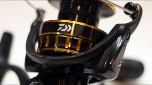 Maybe you would like to learn more about one of these? The Perfect Spinning Reel Almost Daiwa Bg4000 Comprehensive Review Youtube