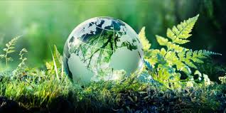 The theme is extremely relevant because the current environmental crisis is a warning that we must heed collectively. From Pandemic To Locust Attacks And Cyclones How To Preserve Biodiversity On This World Environment Day Ibtimes India
