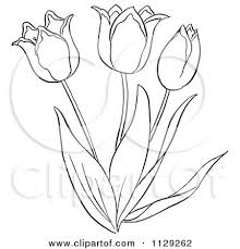 Black And White Outline Flower Clipart Black And White Vector Coloring Page By Picsburg 1129262 Cute Flower Drawing Flower Outline Flower Sketch Images