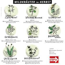 Pin Auf Mein Schoner Garten