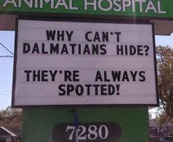 Veterinary Hospital Signs 20 Pieces Funny Signs Hospital Signs Vets