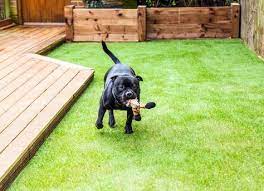 It has the potential to harbor waste and bacteria. 9 Clever Landscaping Hacks For Your Best Ever Yard Artificial Grass For Dogs Best Artificial Grass Artificial Grass Backyard