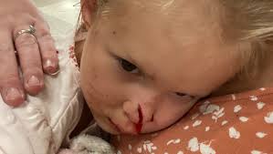 Fundraiser for Lia Becktold by Megan Bainer : Help The Becktold's with  unexpected medical bills