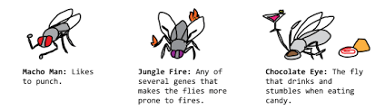 Radishes And Profanity Nothing To Worry About Just Mutant Fruit Flies