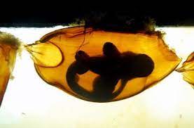 Mario Aldebrandi Aldebrandi - Profile Pinterest