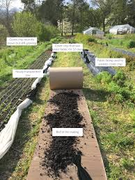 Maybe you would like to learn more about one of these? No Till Flower Bed Preparation Using Cardboard And Mulch
